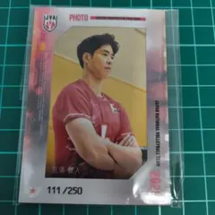 バレーボール男子日本代表 宮浦健人選手 生写真