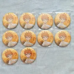 【新品】ハイキュー 日向翔陽 缶バッジ アニメイト オータムフェア
