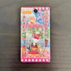 2026年最新】鹿児島キティの人気アイテム - メルカリ
