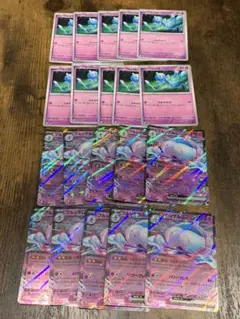 プルリル　ブルンゲル　各10枚