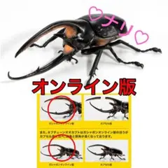 オンライン版　ネプチューンオオカブト　いきもの大図鑑かぶとむし08　昆虫　生き物