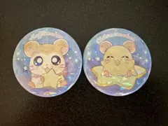 新品⭐︎とっとこハム太郎⭐︎マフラーちゃん・チビ丸ちゃん⭐︎キラキラ 缶バッジ ２個