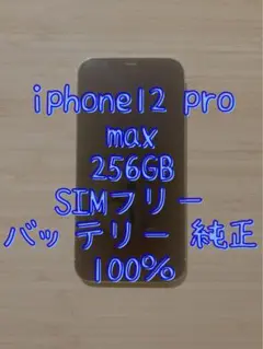 iPhone12ProMax 256GB バッテリー100% 極美品】iPhone12pro 256GB バッテリー100% iPhone 12 Pro