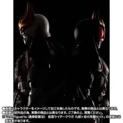 S.H.Figuarts（真骨彫製法） 仮面ライダークウガ 九郎ヶ岳の死闘セット