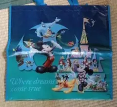 M*y様 ★　美品　ディズニーショッピングバッグ　チャック付き。
