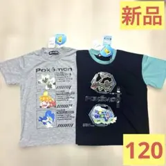 新品 ポケモン 定価3,476円 半袖Tシャツ ブラックレックウザ テラパゴス