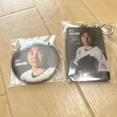 千葉ロッテマリーンズ 廣池康志郎 投手