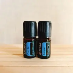 2025年最新】ドテラ イージーエアの人気アイテム - メルカリ