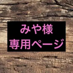 【みや様】　専用ページ　多肉植物