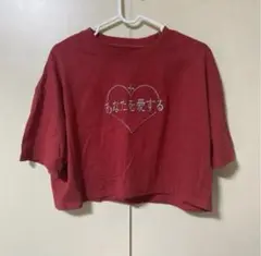 半袖　トップス　クロップドTシャツ　赤　刺繍