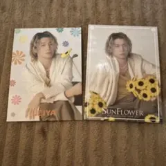 FANTASTICS　瀬口黎弥　フォトカード　2種　SUNFLOWER