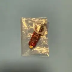 仮面ライダー めじるしアクセサリー アクセルメモリー