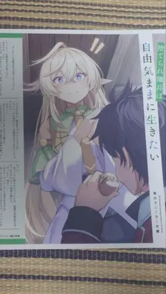 捨てられ傭兵は自由気ままに生きたい　アニメイト特典　ライトノベル　ラノベ