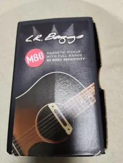 2026年最新】L R Baggs M80の人気アイテム - メルカリ