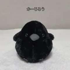 ふくふくお届けカラスぬいぐるみ かーじぃ - メルカリ