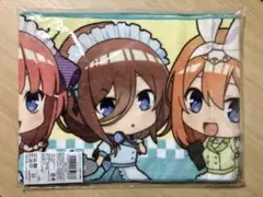 五等分の花嫁 カプコンカフェ マフラータオル 1枚 未開封