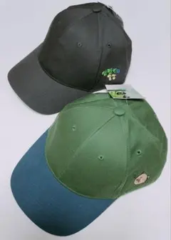 Item thumbnail for item 12874699-c474-428a-bb19-4167383c582a