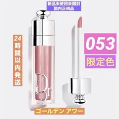 ❗️限定色・定価以下❗️ディオール アディクト リップ マキシマイザー 053