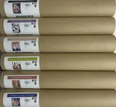 Item thumbnail for item 75cef1a4-49f2-4c9b-9d66-ea54e276438e