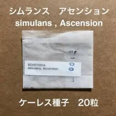 mrk◆次回発送19日かな？様 リクエスト 3点 まとめ商品