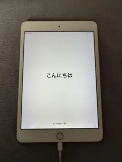 Apple iPad mini3