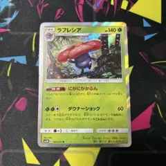 ラフレシア R SM3H 闘う虹を見たか 003/051