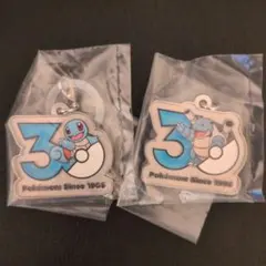 ポケットモンスター ポケモン 30周年 メタルチャームマスコット