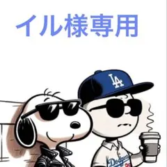 ドラゴンボール 超戦士シールウエハース超 コレクションファイル