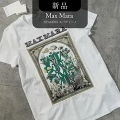 新品✨定価78,100円 スパディーノ ピュア コットン Tシャツ - メルカリ
