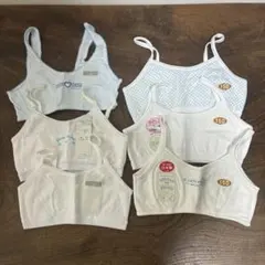 Item thumbnail for item 6167120e-a347-4a69-a2e6-a7fb6575e6f0