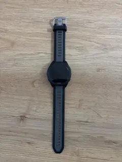 Garmin Forerunner 165 音楽保存機能有
