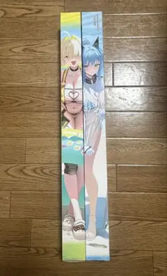一番くじ 勝利の女神NIKKE C賞 等身大タペストリーセットのサムネイル