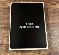 2025年最新】IPAD PRO 11 第1世代 512の人気アイテム - メルカリ