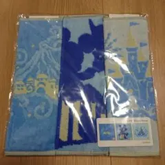 ディズニー バケーションパッケージ限定タオル3枚セット