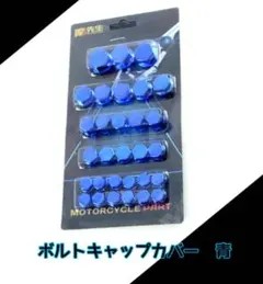 Item thumbnail for item 473ca58f-9ee9-4017-9d9f-c5d8a3fd090c