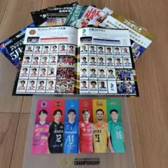 SVリーグ　チャンピオンシップファイナル　2026 クリアファイルのサムネイル