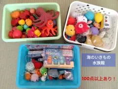 2026年最新】ふにゃ！ぴか！うみのともだちの人気アイテム - メルカリ