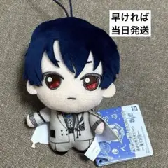 魔法使いの約束 きらどるぬいぐるみ 盛装の魔法使い シノ