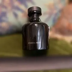 ZARA HOME エターナルムスク ルームフレグランス ディフューザー 250