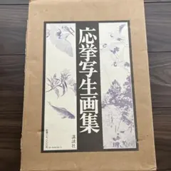 攻殻機動隊 全巻セット 士郎正宗　初版　早いもの勝ち　値下げ 攻殻機動隊 全巻セット 士郎正宗 初版 早いもの勝ち 値下げ - メルカリ