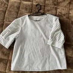 Item thumbnail for item 6cb1474d-e761-471a-aaad-5e518861c126