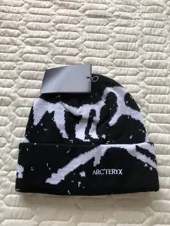 ARC'TERYXビーニー グレー アーク archive 90s 00s 2025年最新】arc'teryx ビーニーの人気アイテム - メルカリ
