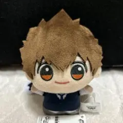 家庭教師ヒットマンREBORN! ちびぐるみ　vol.1沢田綱吉