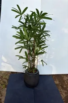 ジャクハナ 雀華 全自動麻雀卓 黒 ジャンク扱い - メルカリ