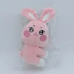 Dreamiez フラットぬいぐるみ クッション ジェミン kkyuping - メルカリ