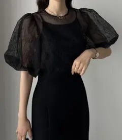 Louere ボリュームパフスリーブシアーブラウス