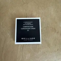 未使用　BRILLIAGE カモフラージュ　コンシーラーチーク 01のサムネイル