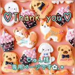 じゅん様 専用ページです✿.*・