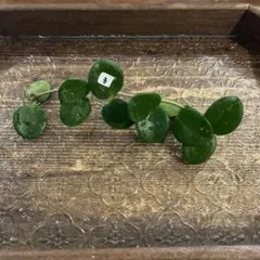 ジンたろ様 リクエスト 2点 まとめ商品