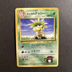 ナッシー ☆ エリカのわたっこ